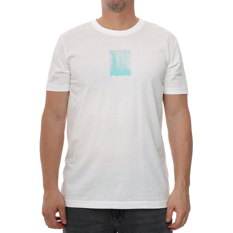 Muška majica Calvin Klein BRUSH STROKE GRAPHIC TEE