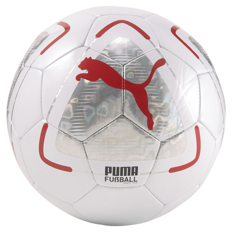 Lopta Puma PARK BALL