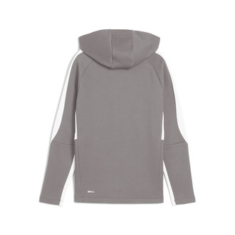 Dječiji duks Puma EVOSTRIPE Full-Zip Hoodie DK B