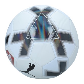 Lopta Puma FSS CAGE ball