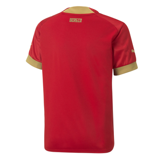 Dječiji dres Puma FSS HOME JERSEY REPLICA JR