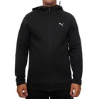 Muški duks Puma EVOSTRIPE Full-Zip Hoodie DK
