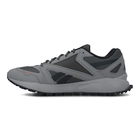 Muške patike Reebok LAVANTE TERRAIN 2