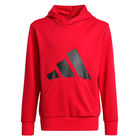 Dječiji duks adidas J BL FT HD 281