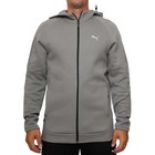 Muški duks Puma EVOSTRIPE Full-Zip Hoodie DK