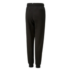 Dječija trenerka donji dio Puma ESS+STREET ART Sweatpants TR B