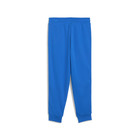 Dječija trenerka donji dio Puma X HOT WHEELS Sweatpants TR