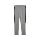 Muška trenerka donji dio Puma EVOSTRIPE CORE Pants