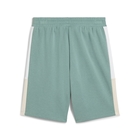 Muški šorc Puma ESS BLOCK Shorts 10"" TR