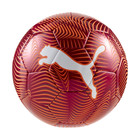 Lopta Puma FINAL Graphic ball