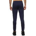 Muška trenerka donji dio Puma Evostripe Pants