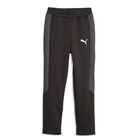 Dječija trenerka donji dio Puma EVOSTRIPE Pants DK B