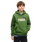 Dječiji duks Puma ESS 2 COLOR No. 1 Logo Hoodie FL B