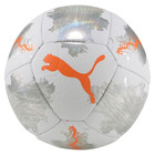 Puma SPIN miniball