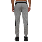 Muška trenerka donji dio Puma EVOSTRIPE Pants