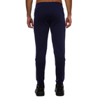 Muška trenerka donji dio Puma EVOSTRIPE PANTS