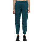 Ženska trenerka donji dio Puma ESS Sweatpants FL cl (s)