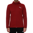 Muški duks Puma EVOSTRIPE FZ HOODIE