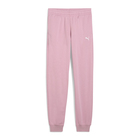 Dječija trenerka donji dio Puma ESS Sweatpants CL TR G
