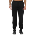 Muška trenerka donji dio Puma SWXP SWEATPANTS TR