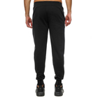 Muška trenerka donji dio Puma ESS+ 2 COL LOGO PANTS FL CL