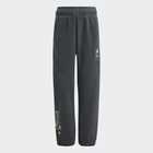 Dječija trenerka donji dio adidas LK DY MM WI PNT