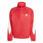 Mu&scaron;ki duks adidas M STADIUM TT